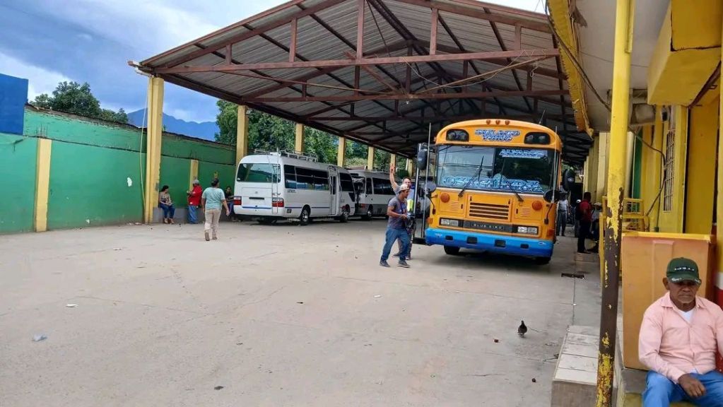 Subsidio al diésel: alivio al combustible que mueve la economía