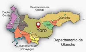 ¿Cuáles son los municipios de Yoro, Honduras?